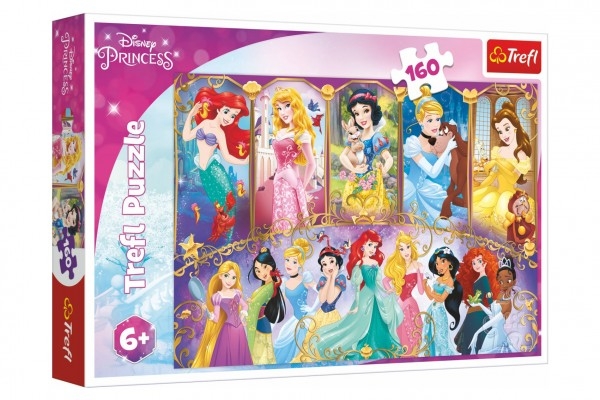  Puzzle Portréty princezen Disney 41x27,5cm 160 dílků v krabici
